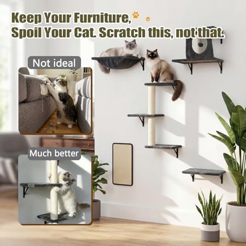 Cat Wall Shelves, Cat Wall Mounted Furniture, Climbing Wall Systems - Image 5
