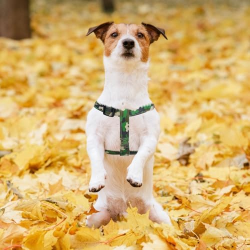 PUPTECK No Pull Dog Harness Medium Sized Step-in Adjustable Puppy Vest - Image 5