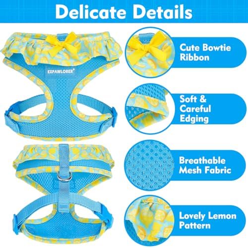 EXPAWLORER Step-in Dog Harness Small Sized and Leash Set - Image 4