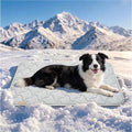 PPOLCA Waterproof Cooling Mat for Large Dogs 23x35 by PPOLCA
