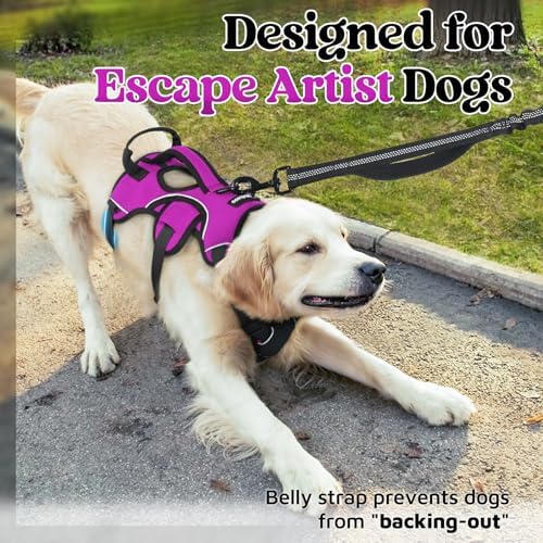 rabbitgoo Escape Proof Dog Harness - Image 2