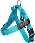 BULLHUG Adjustable Dog Harness– No Pull, No Choke – by BULLHUG