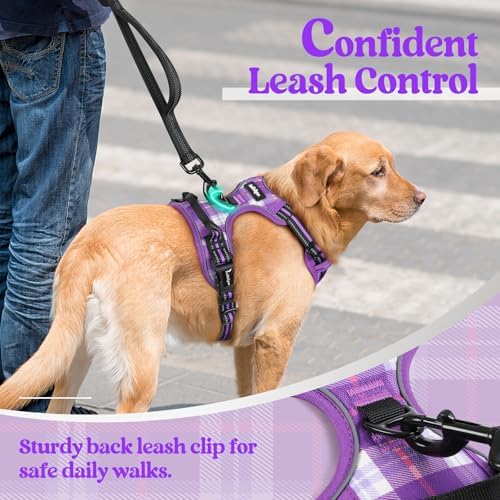 rabbitgoo Dog Harness, No Pull for Large Dogs - Image 6