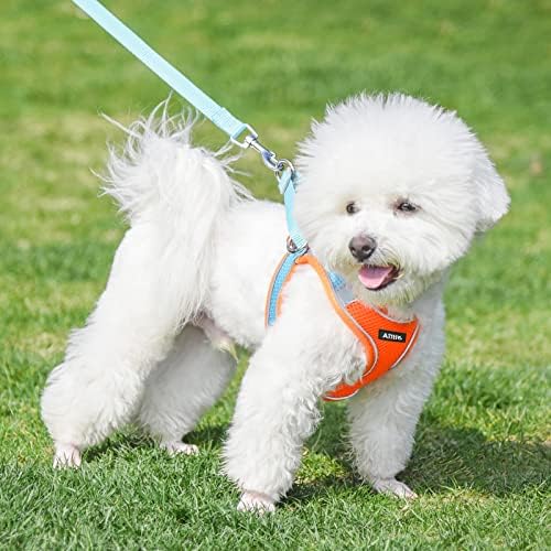 AIITLE Medium Dog Harness and Leash Set, Step-in Puppy Pet Vest - Image 6