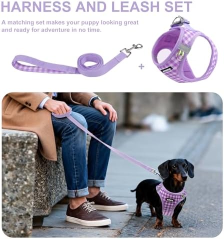 AIITLE Step in Small Dog Harness and Leash Set, Puppy Pet Vest - Image 6