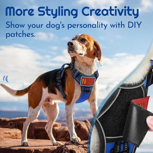 Eagloo Dog Harness No Pull for Small Dogs, Easy On & Off - Image 3