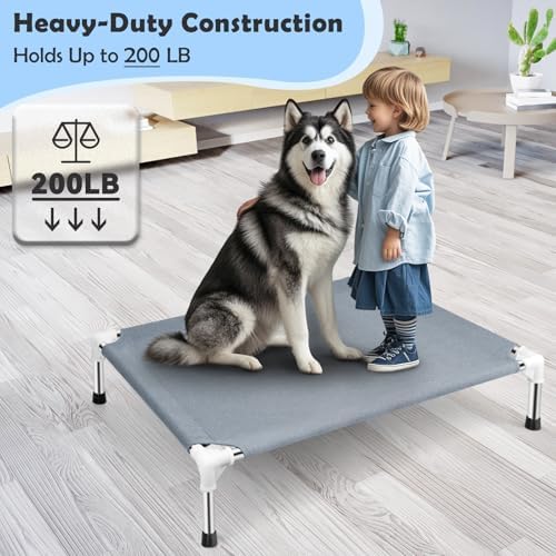 Elevated Dog Bed, Raised Dog Bed - Image 2