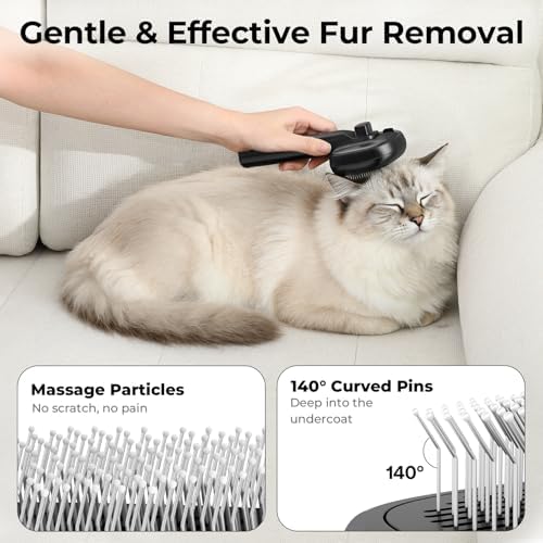 Pecute Self-Cleaning Steam Dog Cat Brush - Image 4