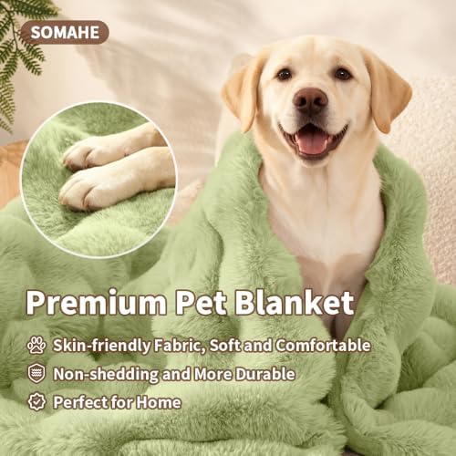 SOMAHE Dog Blanket for Couch Bed, Soft Faux Fur, Large 39x31 Fruit Green - Image 2