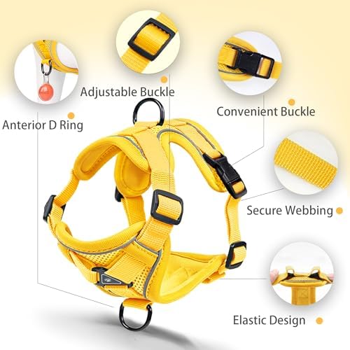 Dog Harness Small Sized Dog Pet Vest - Image 4