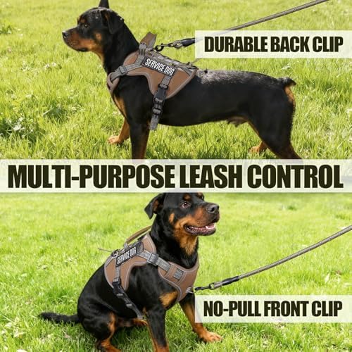 Dog Harness and Leash Set for Medium Dogs, No Pull Tactical Dog Harness - Image 6