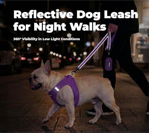 Best Pet Supplies Voyager Nylon Dog Leash - 6ft Purple - Image 4