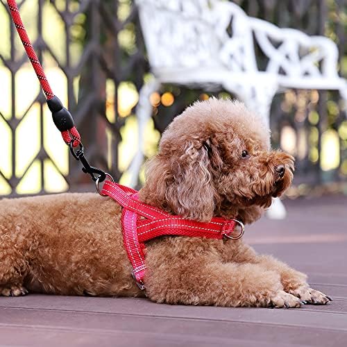 Plutus Pet No Pull Dog Harness for Small Dogs, Breathable Mesh Padded - Image 5
