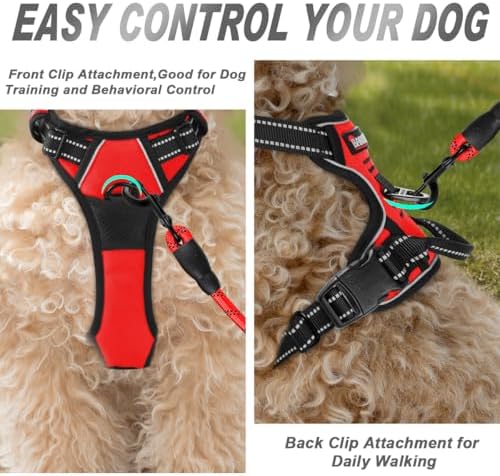 BARKBAY Dog Harness No Pull for Small Sized Dog Front Back Clips, Dog Vest - Image 2