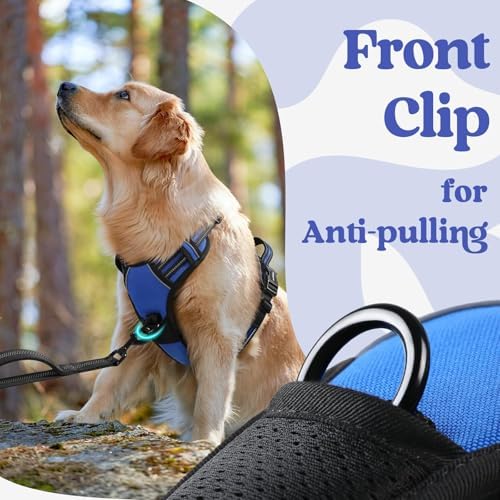 rabbitgoo Dog Harness for Large, Updated Easy On & Off - Image 6