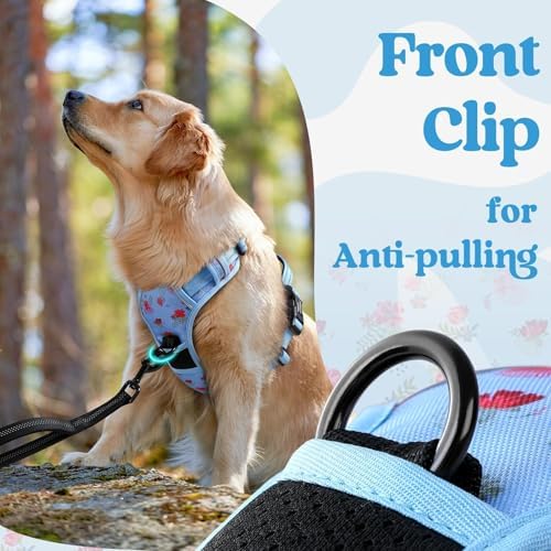 rabbitgoo Dog Harness for Large, Updated Easy On & Off - Image 7