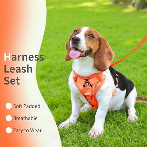 Dog Harness Small Sized Dog Pet Vest - Image 2