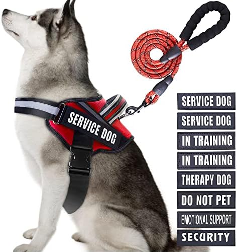 Service Dog Vest Harness and Leash Set, Animire in Training Dog Harness by Animire