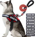 Service Dog Vest Harness and Leash Set, Animire in Training Dog Harness by Animire