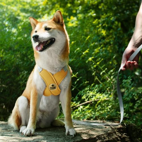 Patas Lague Dog Harness Medium Sized Dog Pet Vest - Image 2