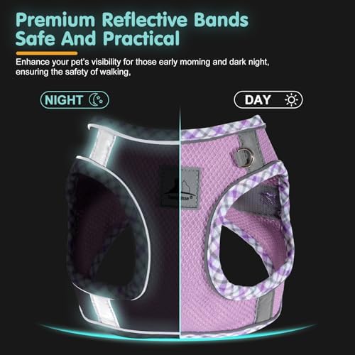 Dog Harness and Leash Set - Image 5