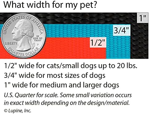 Lupine Small Dog Adjustable Step in Harness 3/4" Wide Aqua - Image 4