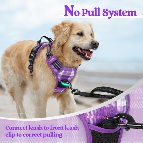 rabbitgoo Dog Harness, No Pull for Small Dogs - Image 5