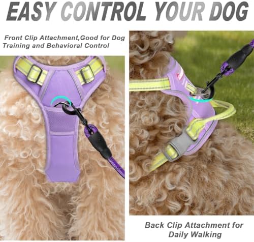BARKBAY Dog Harness No Pull for Small Sized Dog Front Back Clips, Dog Vest - Image 2