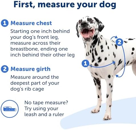 PetSafe Easy Walk Harness, No Pull Dog Harness, Royal Blue - Image 4