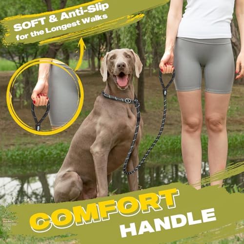 Fida Durable Slip Lead Dog Leash, 6 FT x 1/2" Dog Training Leash - Image 6