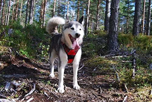 TRUE LOVE Adjustable No-Pull Dog Harness Reflective Pup Vest Harnesses - Image 6