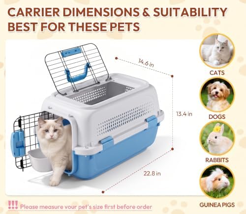 Dog & Cat Hard Carrier, 23IN Two-Door Plastic Pet Kennel - Image 2