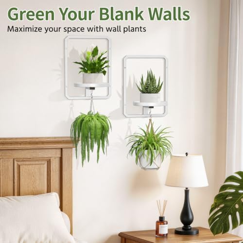 LASZOLA Plant Picture Frame Holder Shelf Wall Window Indoor - Image 7