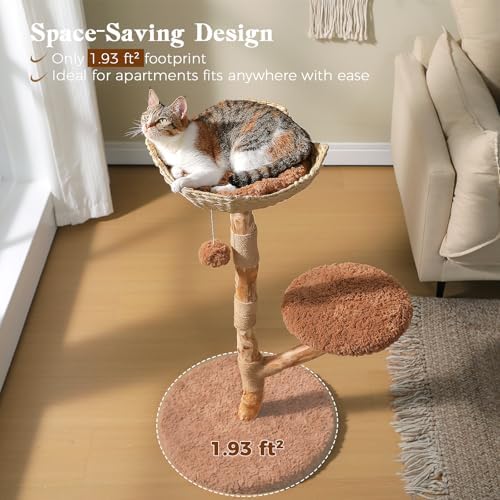 MUTTROS Modern Wood Cat Tree - Image 6