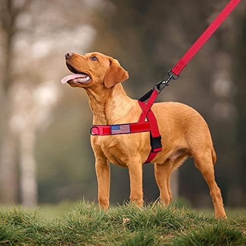 Annchwool No Pull Dog Harness+5 Ft Leash - Image 6
