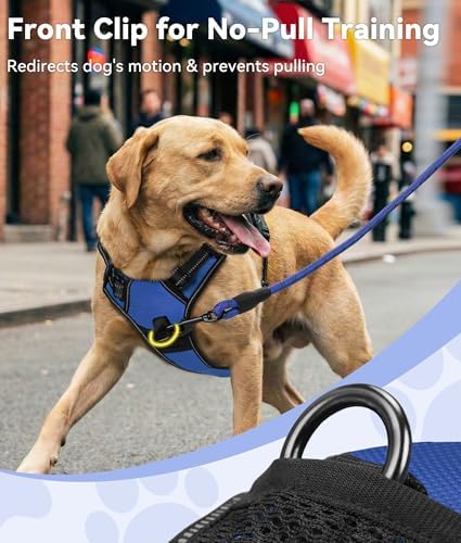 Joytale No Pull Dog Harness Medium Sized Dog, Front Clip - Image 2