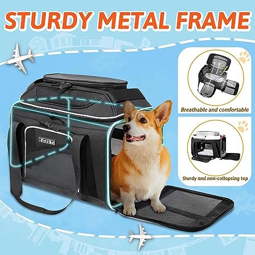 Petskd Top-Expandable Small Pet Carrier 18"x13"x9.5" Airline Approved - Image 6