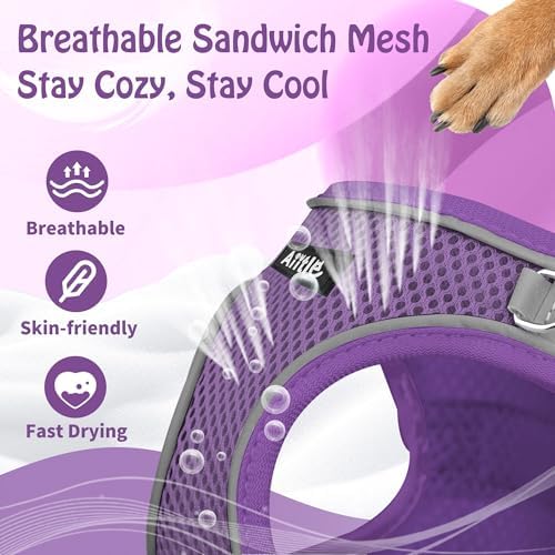 AIITLE Dog Harness and Leash Set, Step-in Puppy Pet Vest, Pure Purple XXXS - Image 4
