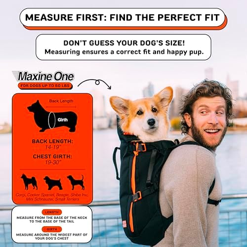 Little Chonk Maxine One Dog Backpack Carrier - Image 3