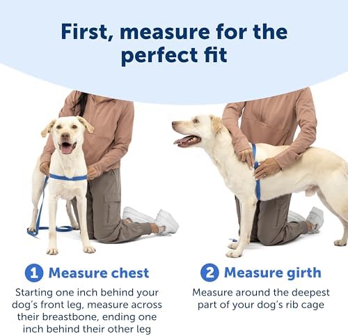 PetSafe Easy Walk Harness for Dogs - Image 5