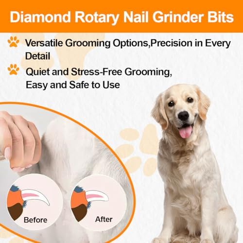 BGTEC Diamond Dog Nail Grinder Replacement Heads - Image 5