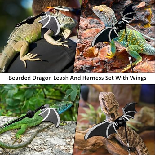Bearded Dragon Leash and Harness Set, Bearded Dragon Accessories, Bearded - Image 5