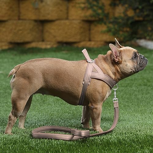 Plutus Pet No Pull Dog Harness for Large Dogs, Breathable Mesh Padded - Image 5