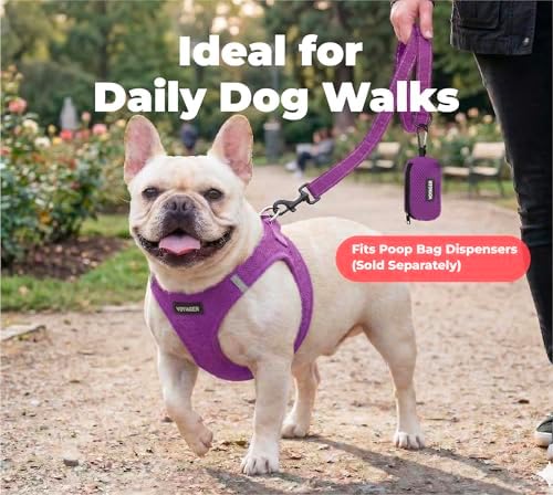 Best Pet Supplies Voyager Nylon Dog Leash - 6ft Purple - Image 3
