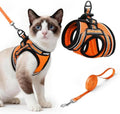 rabbitgoo Cat Harness and Leash Set, Step-in Soft Vest by rabbitgoo