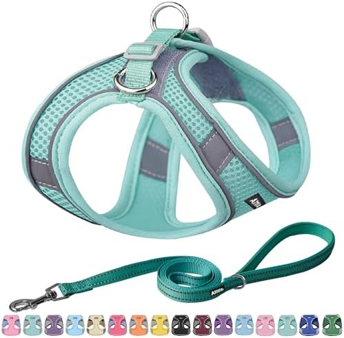 AIITLE Dog Harness and Leash Set, Step-in Puppy Pet Vest, Pure Turquoise S by AIITLE-FORPETSBETTERLIFE