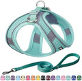 AIITLE Dog Harness and Leash Set, Step-in Puppy Pet Vest, Pure Turquoise L by AIITLE-FORPETSBETTERLIFE