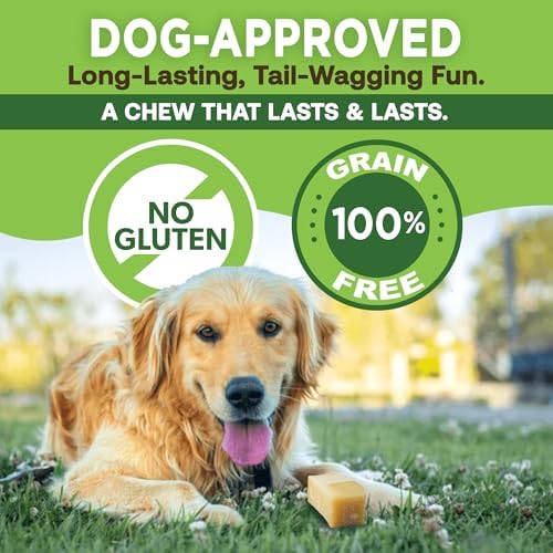 EcoKind Yak Cheese Himalayan Dog Chews, Yak Chews - Image 5