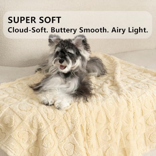 gogobunny Pet Blanket for Dogs Cats, 300GSM Ultra Soft Coral Fleece Blanket - Image 3