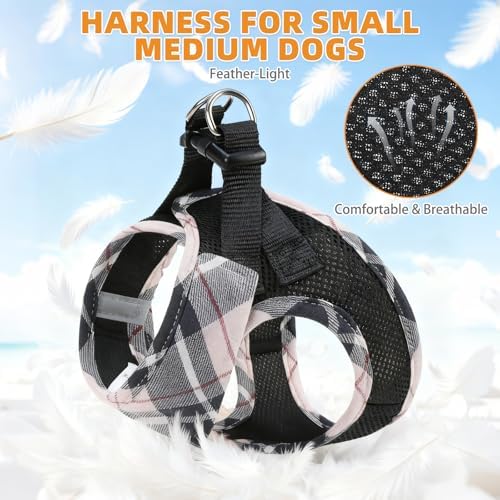 KOOLTAIL Small Dog Harness and Leash Set, Cute Puppy Harness, Step in No Pull - Image 3